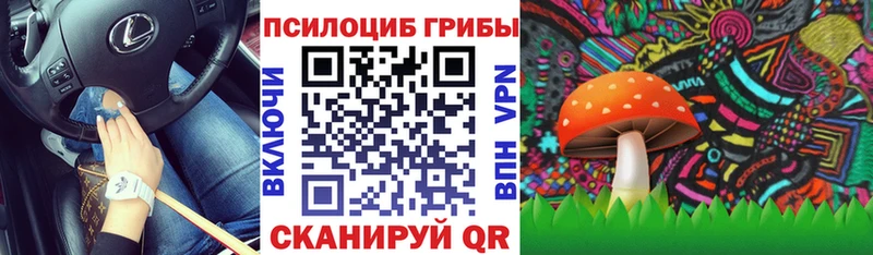 наркота Щёлкино Галлюциногенные грибы мухоморы